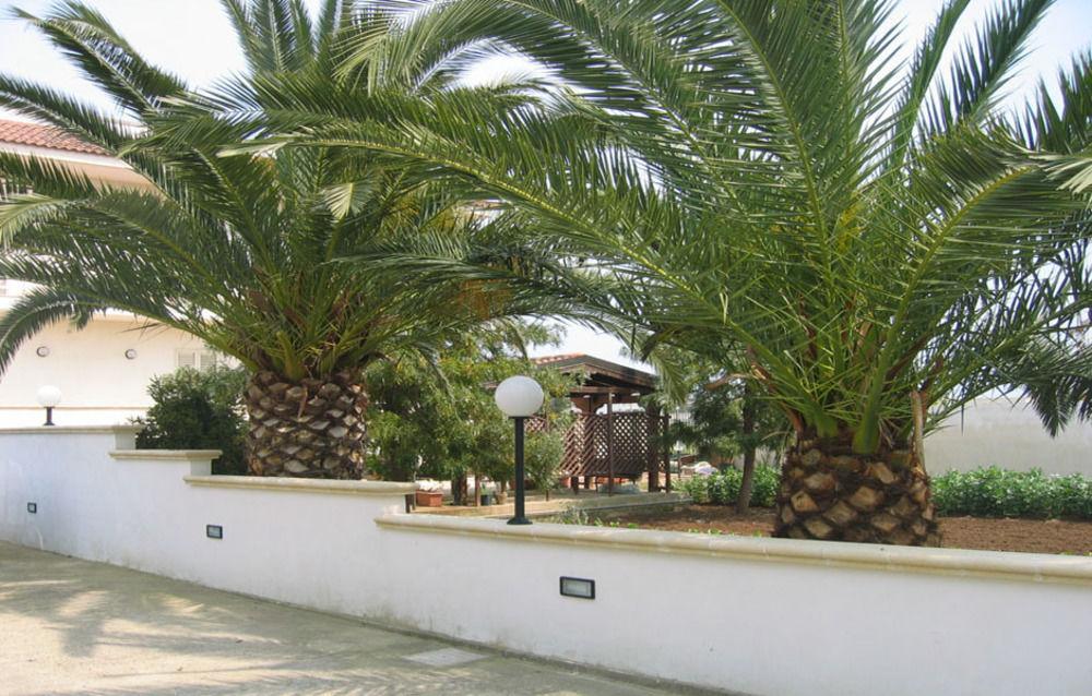 לצ'ה B&B Villa Teresa מראה חיצוני תמונה